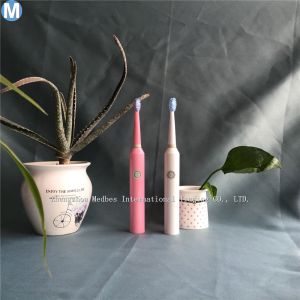 wholesale Electric Toothbrush