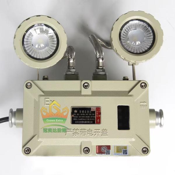 Flameproof Aluminum Emergency Light for Hazardous and Emergency Situations with