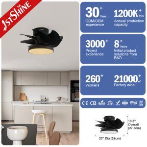 LED Light Source Mini Ceiling Fan 1stshine ODM Black Color Space Saving with ABS