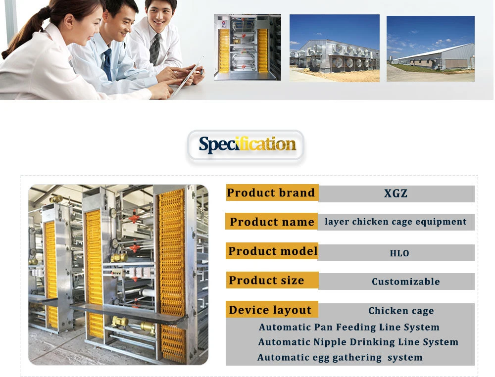 Layer Egg Chicken Cage/Poultry Farm House Design Egg Chicken House Design for Layers Metal Chicken House