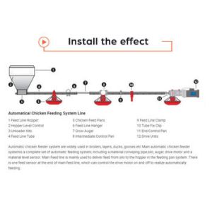 Automatic bird feeder feeding pan agricultural machinery & equipment