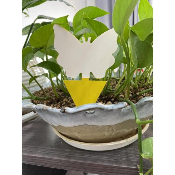 Affordable and Plants Garden Insert Yellow Glue Sticky Fly Insect Termite Trap Killer