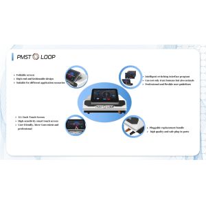 Pulsed Electromagnetic Field Reduce Inflammation Physio Magneto Pemf Magnetic