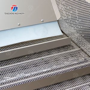 customized blanching machine Fruit Orange Vegetable Leaves Vegetables Carrots