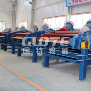 Mineral Tailings Dewatering Vibrating Screen with Vertical Vibrating Motor