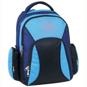 Quality Fashion backpack/rucksack,two compartments with two side pockets for sale