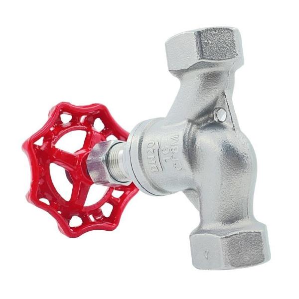 304 Stainless Steel S-Type Globe Valve Threaded Stop Valve with Customization