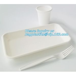 biodegradable meat tray, disposable plate deli tray, biodegradable breakfast