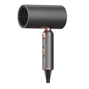 1800 Watts High Speed Hair Dryer Protable With Magnetic Concentrator