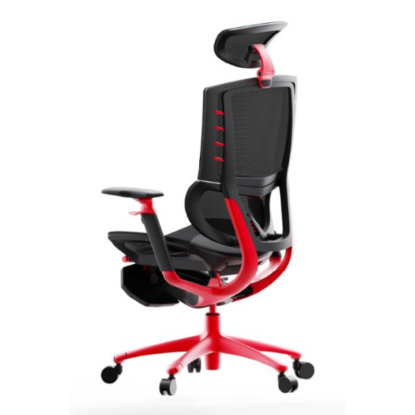 Buy Adjustable Ergonomic Executive Leather Chair Polyester With Lumbar Support at wholesale prices