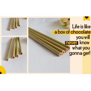 Eco Friendly Factory Directly Sales Customized Logo Bamboo Straw With Brush 100