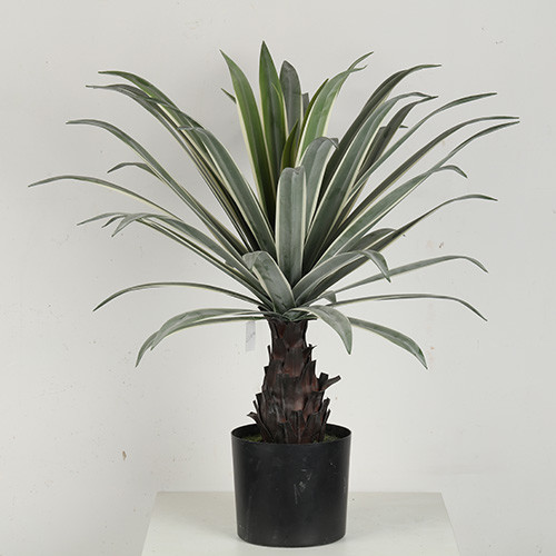 Buy Clear Veins Artificial Dragon Tree Bonsai For Shopping Mall at wholesale prices