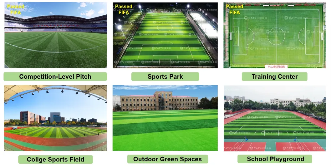 Premium SBR Rubber Granules for F. Ifa Approved Football Field Artificial Turf Filler