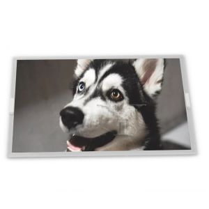 Quality NL6448BC20-35D 6.5 Inch TFT LCD Display 640*480 Resolution 31-Pin Interface 6.5 Inch TFT LCD Modules for sale