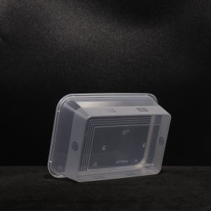 750ml Rectangular Disposable PP Plastic Sandwich Lunch Box