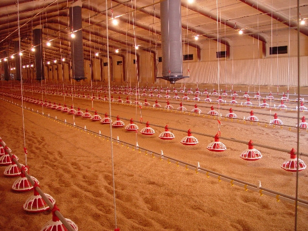 2000lbs Portable Poultry Winch For Automatic Pan Feeding System