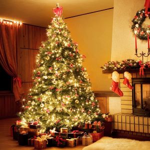 240V Warm White Christmas Fairy Lights With Remote Plug In Copper Wire Lights