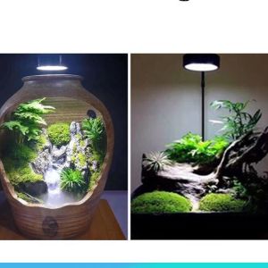 5W 7W Small Aquarium Grass Light Coral Reef Algae Amphibious Landscape Lamp