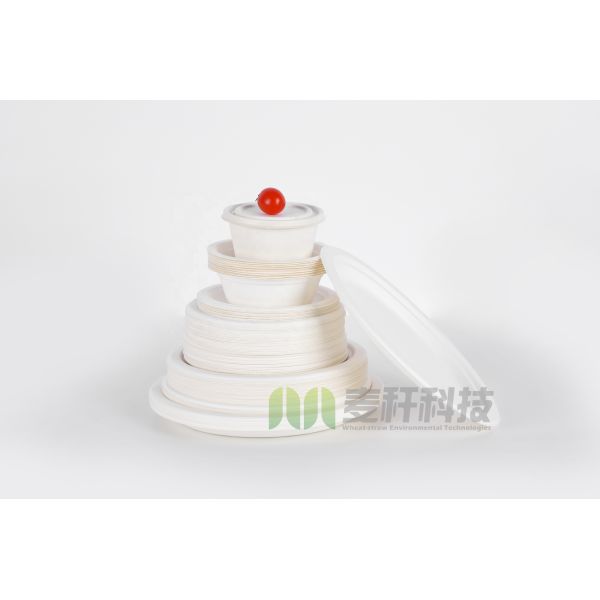 6 Inch 8 Inch 10 Inch Sugarcane Round Compostable Plates for Party