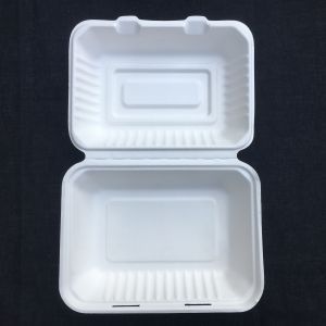 Rectangle Biodegradable 600ml Disposable Bento Lunch Box Sugarcane Pulp