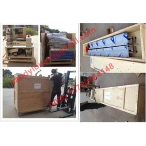 SoyBeans Vertical Packaging Machine, beans packing machine with round hole