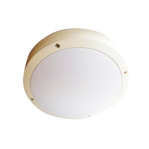 Cool White LED Bathroom Ceiling Lights