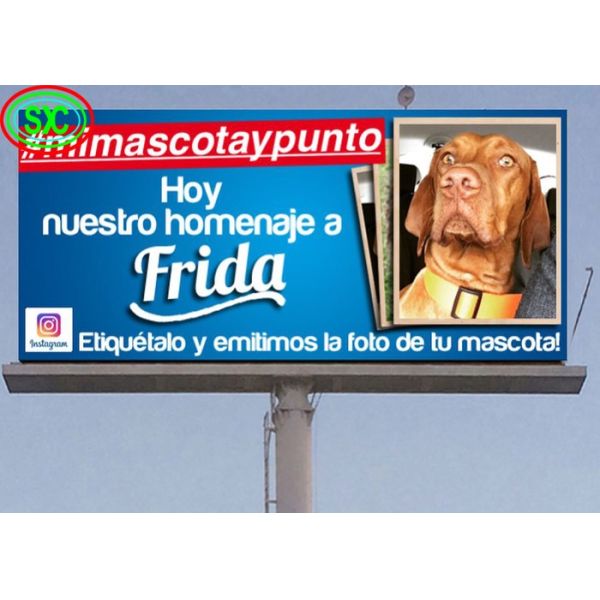 Die-Cast Aluminum Screen Iron Box / Rental Commercial Freestanding Outdoor Full