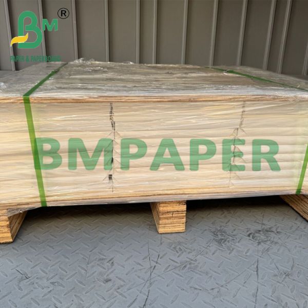 100um Eco-Friendly PET Synthetic Paper Sheet For Outdoor Advertisement