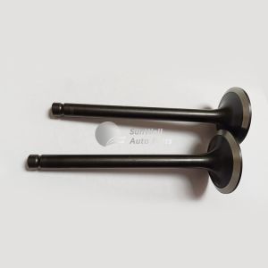 Diesel Excavator Machinery Engine Parts A2300 Intake Valve 4900337