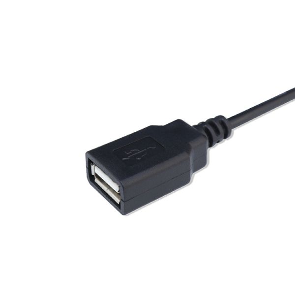 Custom USB 2.0 A Female to JST PH 2.0 Assembly Cable Wire Harness