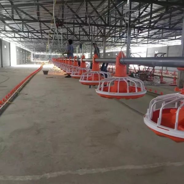 Buy 0.75m Poultry Farming Machine Galvanized Steel Chicken Poultry Farm Equipment at wholesale prices