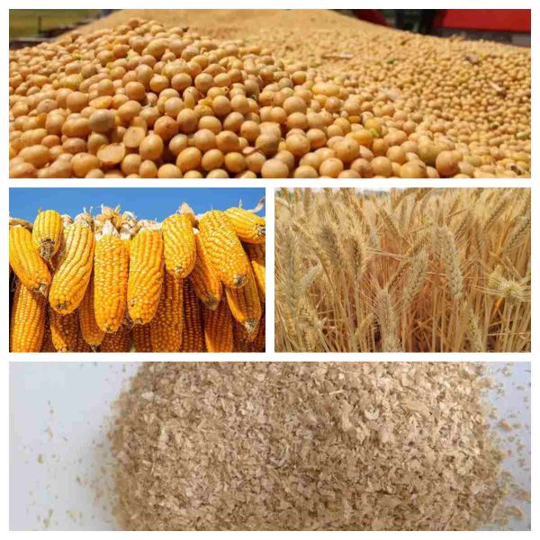 Chicken Beef Sheep Poultry Meal Pellet Mill Pelletizer Production Line Feed Pellet Production Line