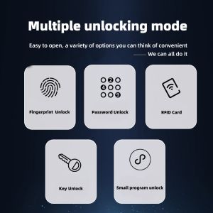 Remote Control Face Recognition Door Lock FCC Tuya Smart Door Lock