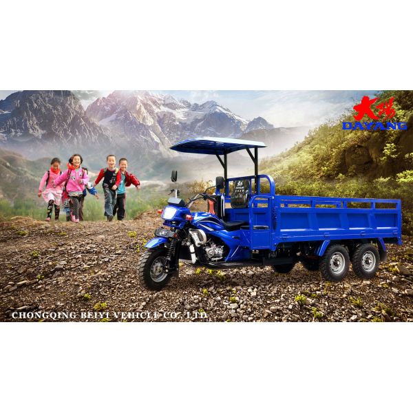 5.00-12/5.00-12 Tyre DAYANG 300cc Double Rear Axle Motorized Tricycle for Heavy Loads