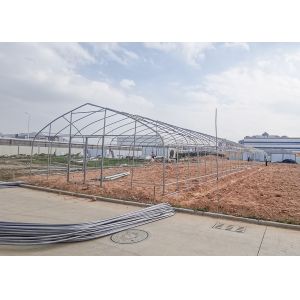 150Micron Single Span Greenhouse Customizable Plastic Film Greenhouse