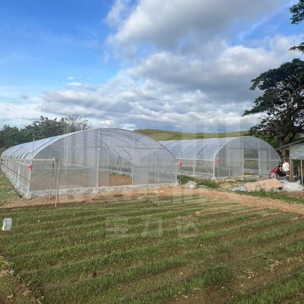 Tunnel Greenhouse Easy And Hassle-free Installation Green House Metal Frame