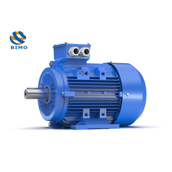 100% Pure Copper Wire Three Phase AC Motor 50Hz Totally Enclosed Motor Cast Iron