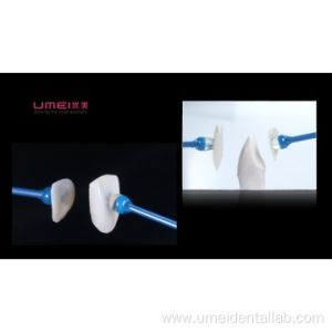 Customized Dsd And Cad Design