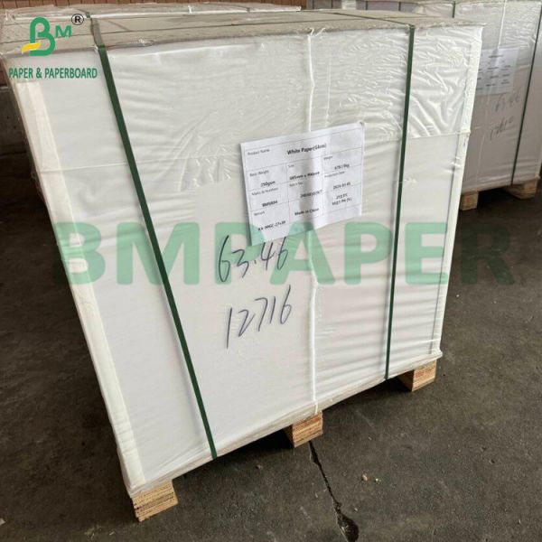 White Blister Packaging Paper Card 275gsm One Side Coated Paperboard