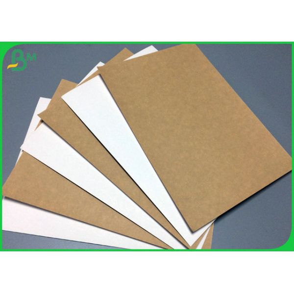 200gram to 365gram 1 side White Kraft Liner coated Board 31inch 35inch 200gram to 365gram 1 side White Kraft Liner coated Board 31inch 35inch