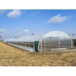 Roof Ventilation Single Tunnel Greenhouse Flower Farm Greenhouse 10*30m