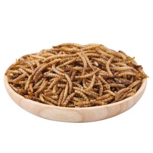 Quality Fat Dried Mealworms for Pet Feeding for sale