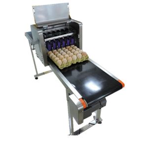 Quality Poultry Egg Date Coding Machine Automatically Updated With LCD Touching Screen for sale