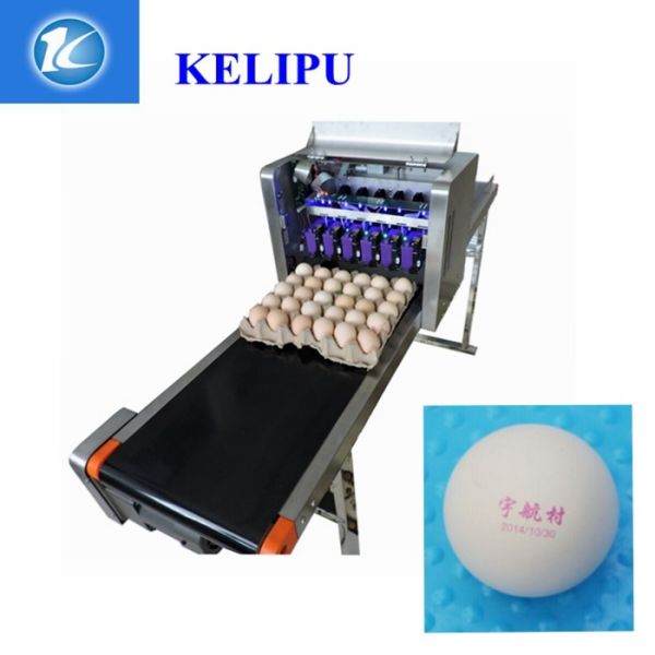 Automatic Egg Printing Machine For Date , Time , Serial Number