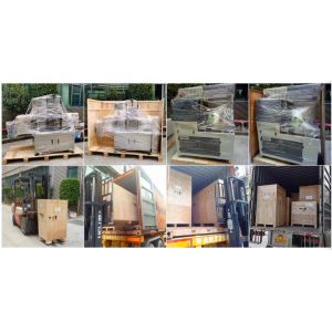 Piston Type Filling Capping Labeling Machine Automatic for Plastic Glass Bottle