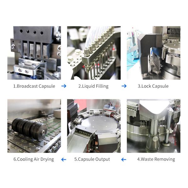 soft capsule filling fish oil