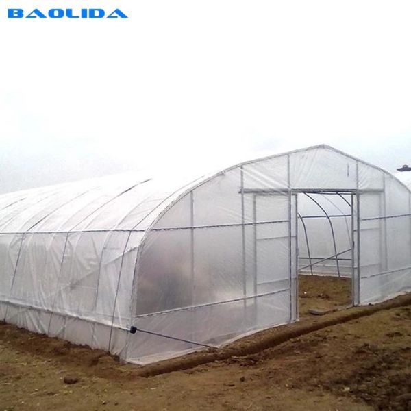 Buy Gothic High Tunnel Vegetable Film Hydroponics Single-Span Greenhouse Construction at wholesale prices