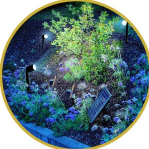 2W LED Solar Landscape Spotlights IP65 Adjustable Auto On Off