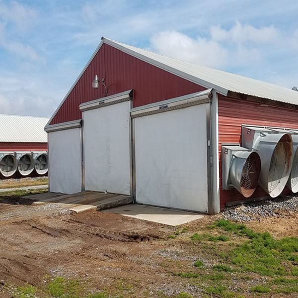 Buy H Beam Steel Structure Poultry House with Bolts Connection at wholesale prices