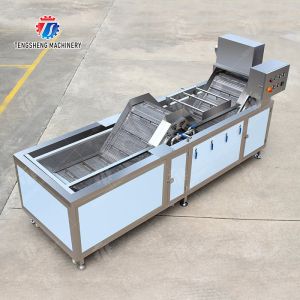 customized blanching machine Fruit Orange Vegetable Leaves Vegetables Carrots